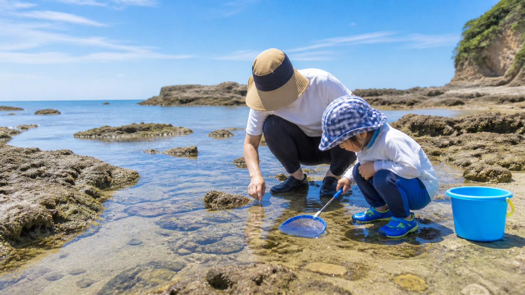 関西で磯遊びを楽しむ親子と潮だまりの風景